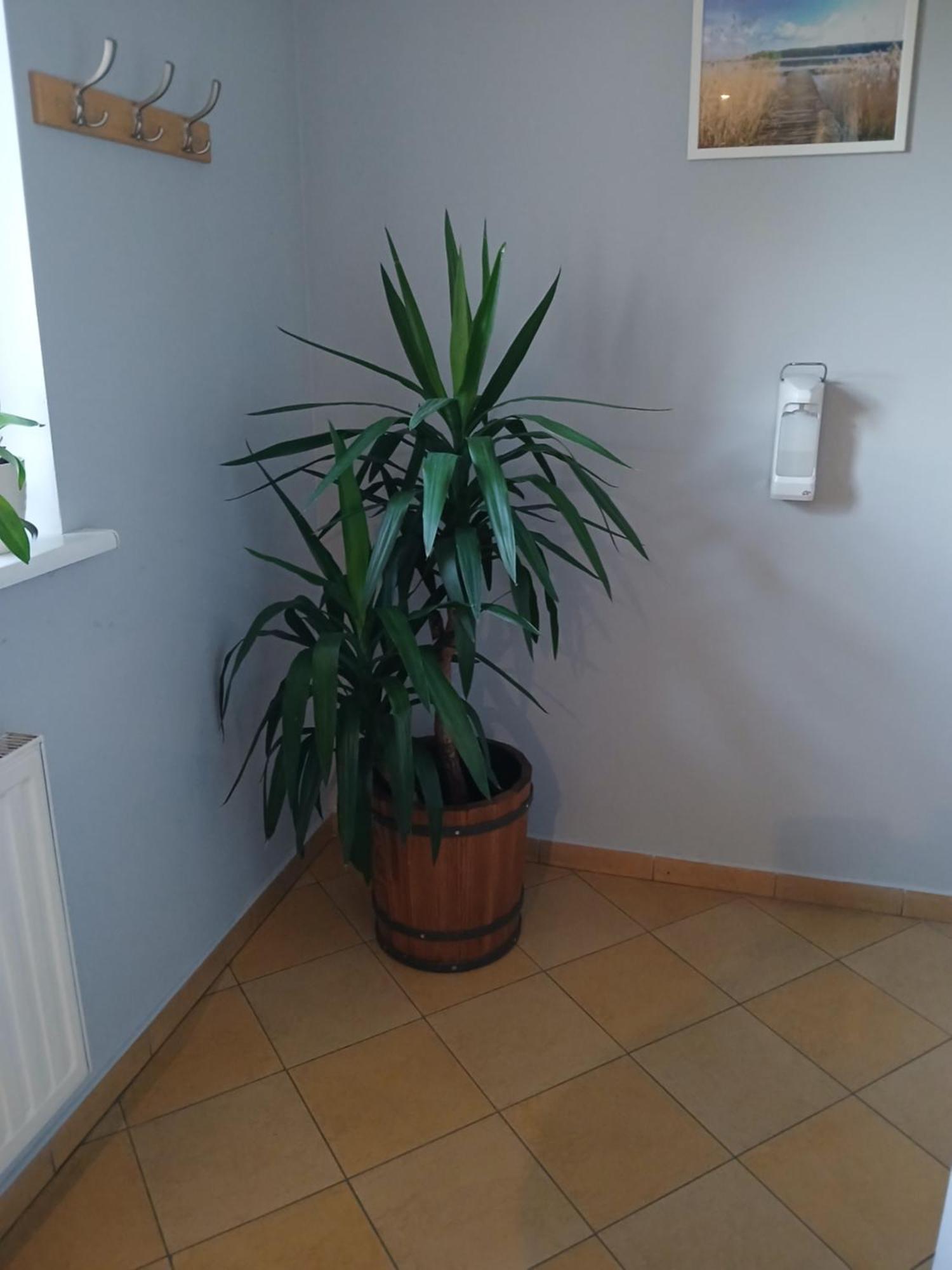 Dom Brama Mazur Bed & Breakfast โอสโตรดา ภายนอก รูปภาพ