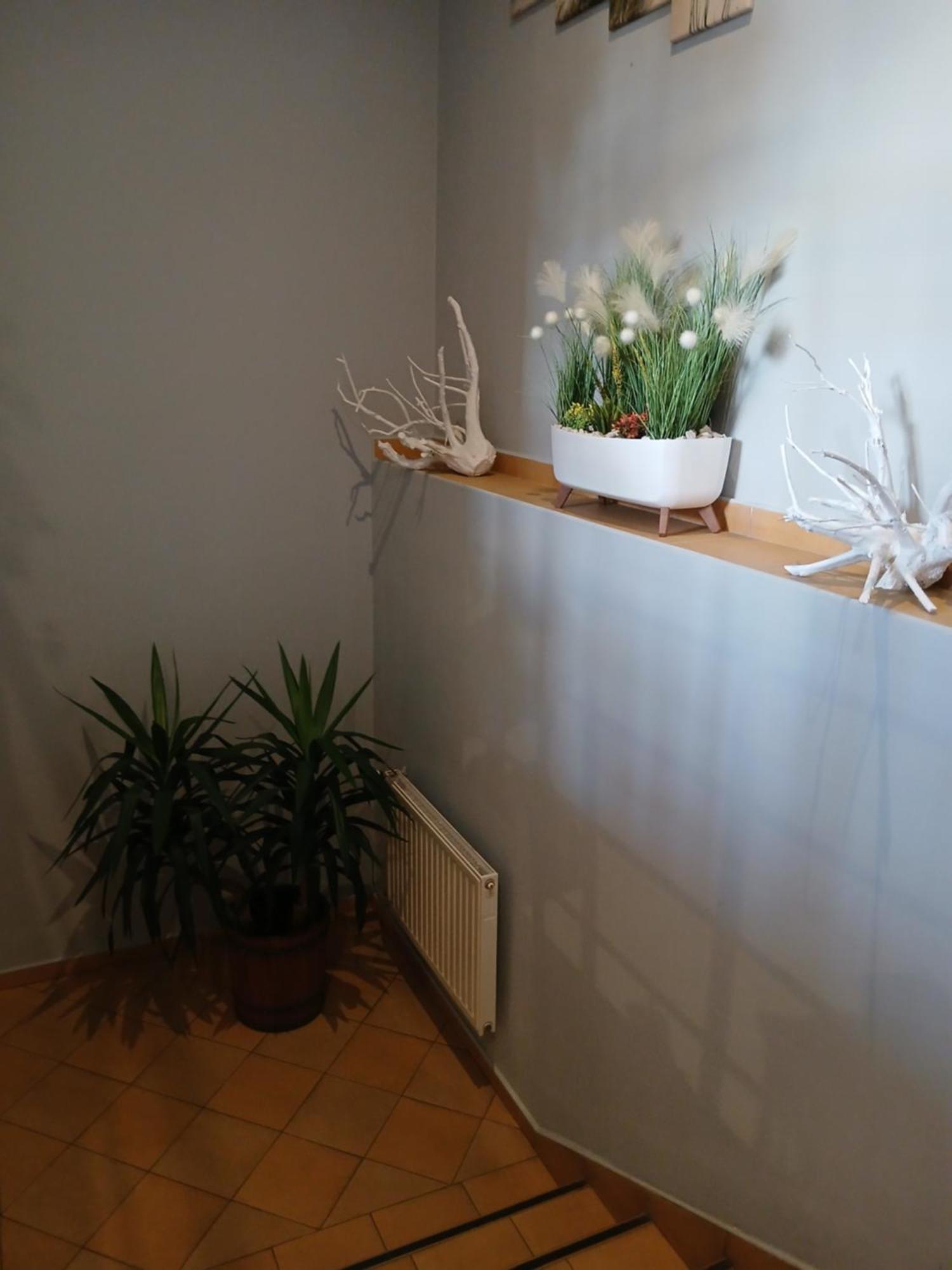 Dom Brama Mazur Bed & Breakfast โอสโตรดา ภายนอก รูปภาพ